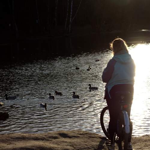Photo #5929844