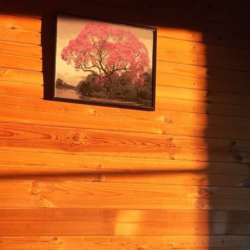 Photo #5930139