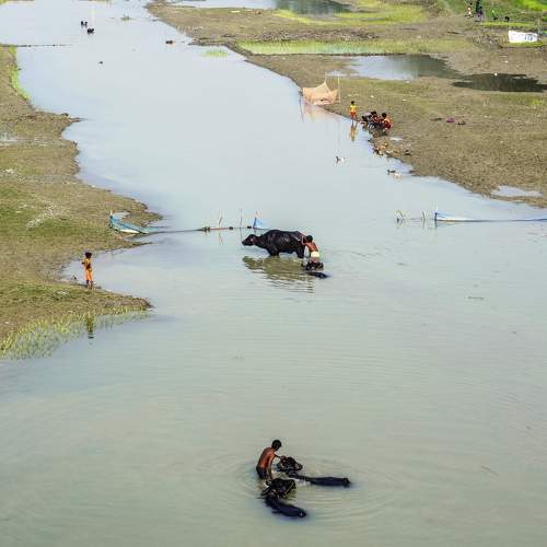 Photo #5930146