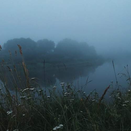 Photo #5930198