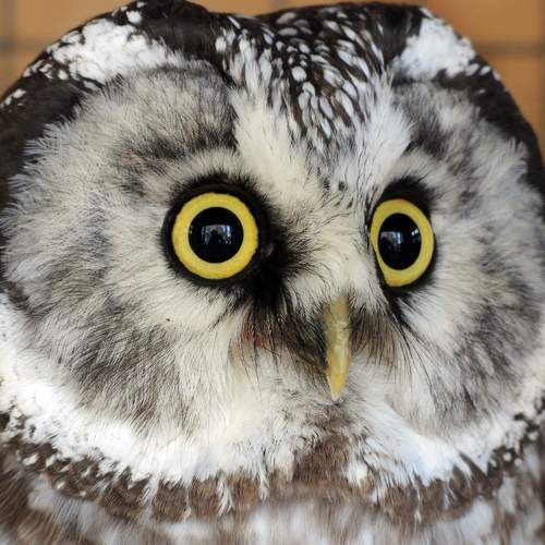 Photo #5930447