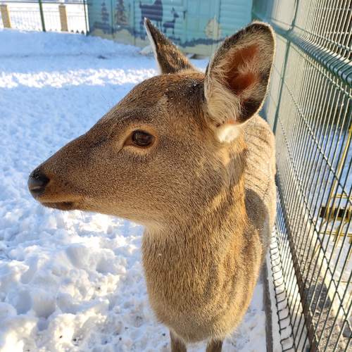 Photo #5930449