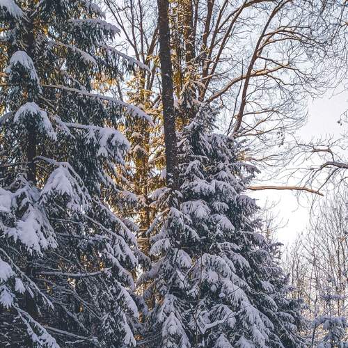 Photo #5930620