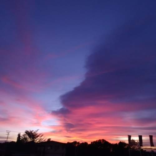 Photo #5930751