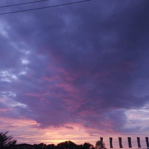 Photo #5930752