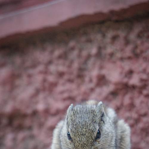 Photo #5930757