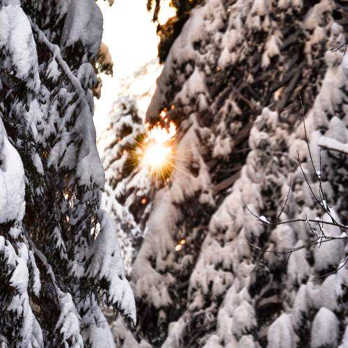 Photo #5930761