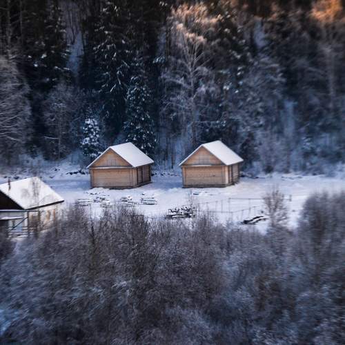 Photo #5930766