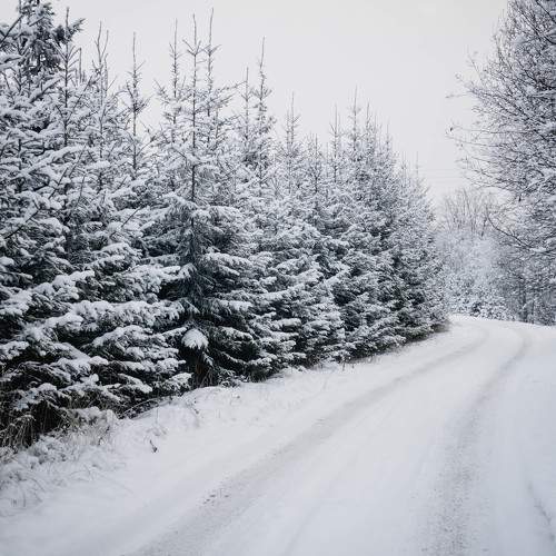 Photo #5930801