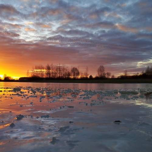 Photo #5930840