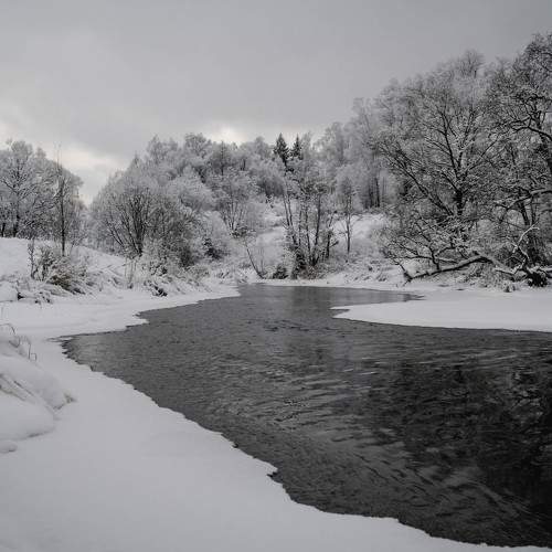 Photo #5930872