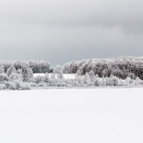 Photo #5930875