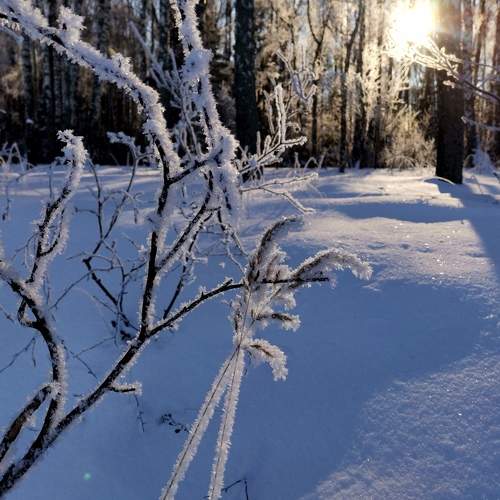 Photo #5931011