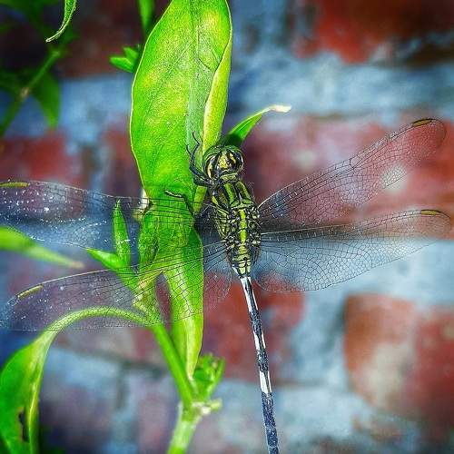 Beautiful creature of mother nature!!