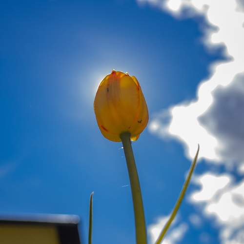 Photo #5931192