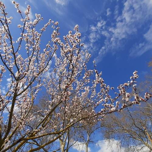 Photo #5931228