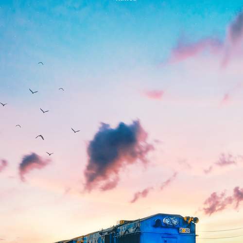 Photo #5931269