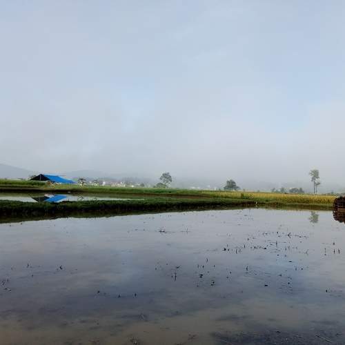 Photo #5931286