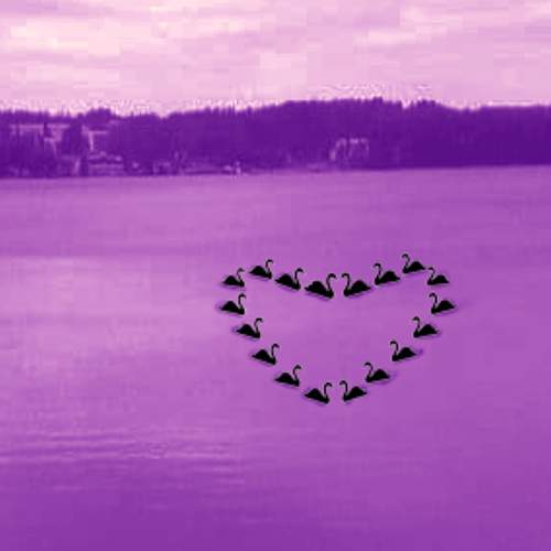 Photo #5931498