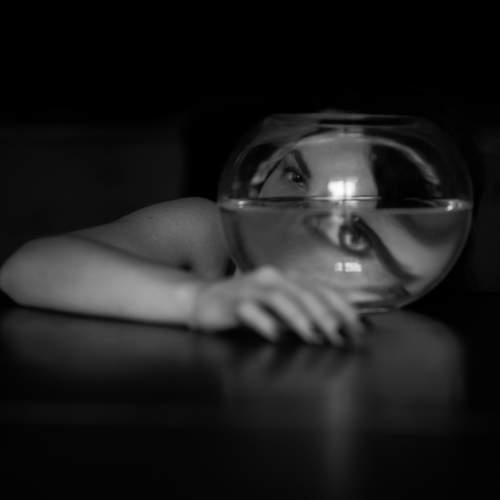 Фотография #5931679