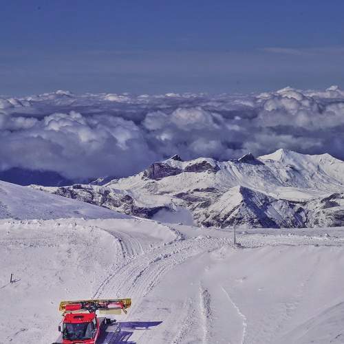 Photo #5931689