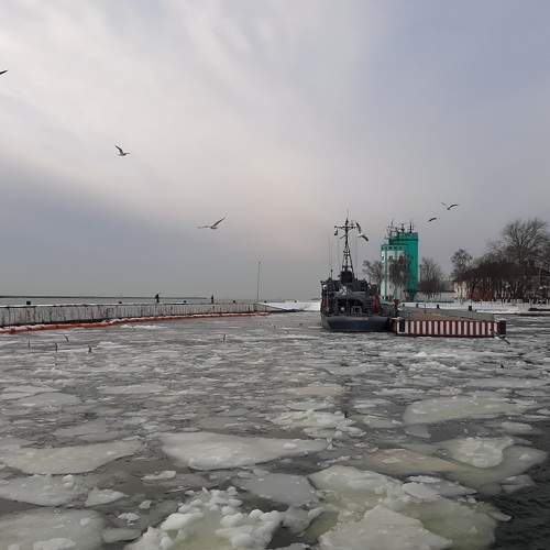 Photo #5931776