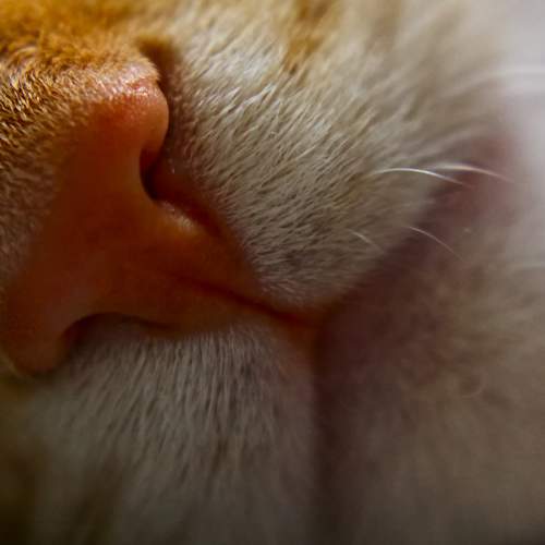 Photo #5931854