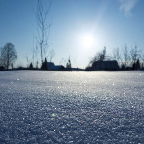 Photo #5931880