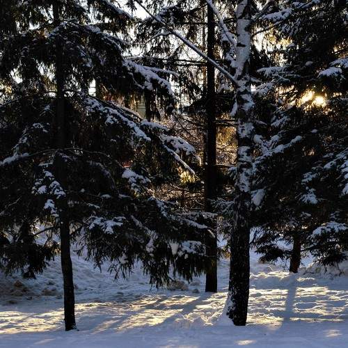 Photo #5932063
