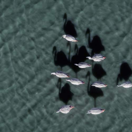 Photo #5932235