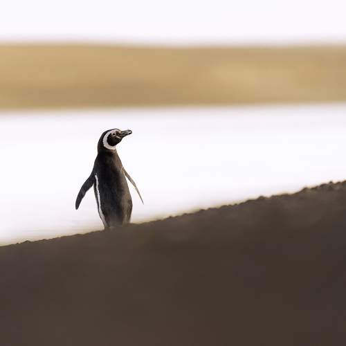 Photo #5932236