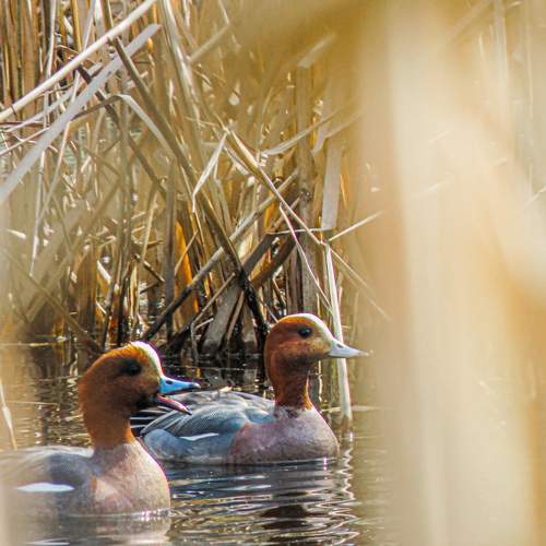 Photo #5932316