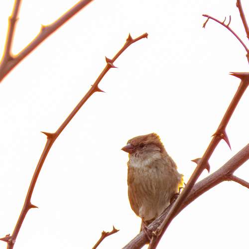 Photo #5932355