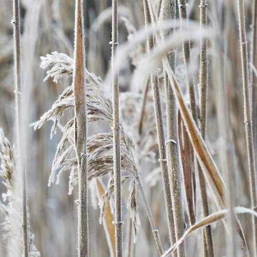 Photo #5932388