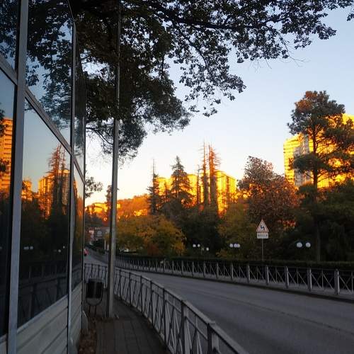 Photo #5932432