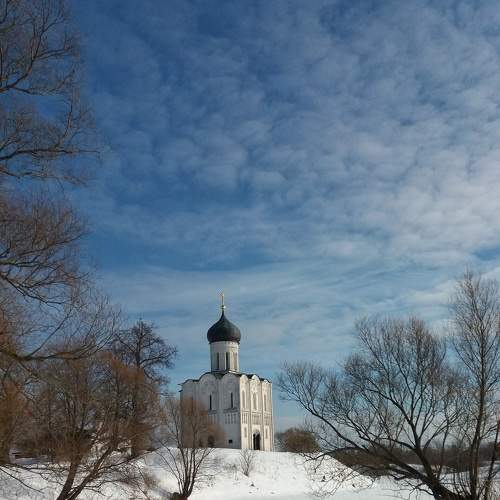 Photo #5932539