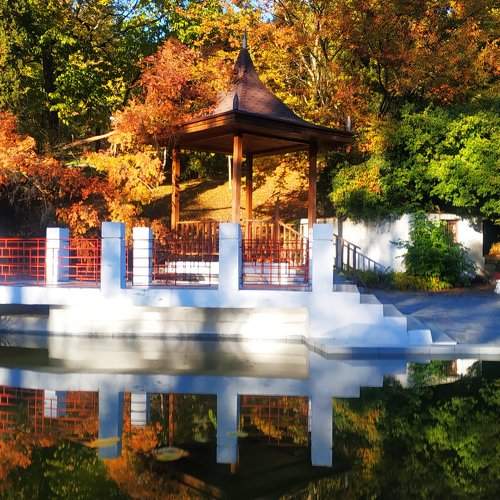 Photo #5932567