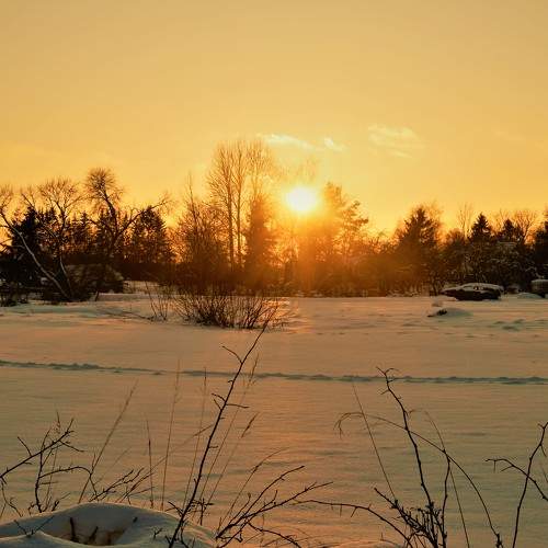 Photo #5932579