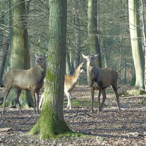 Photo #5932698