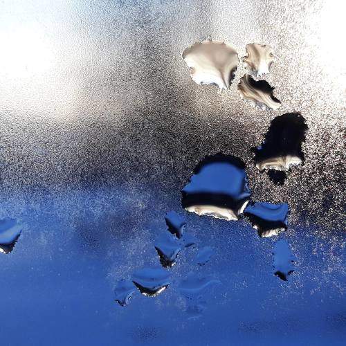 Photo #5932824