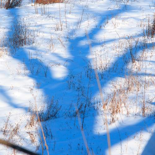 Photo #5932958