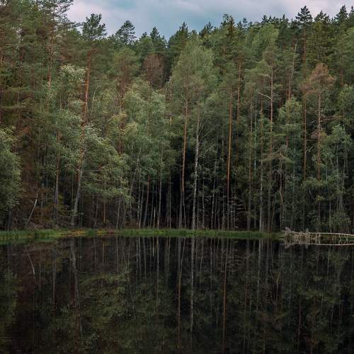 Photo #5933054