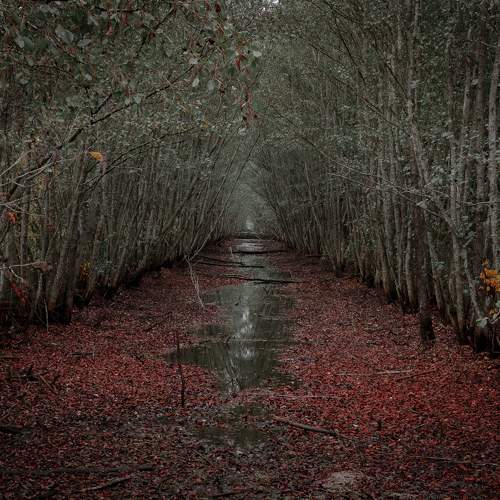 Photo #5933067