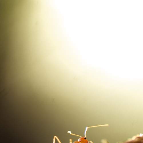 Photo #5933615