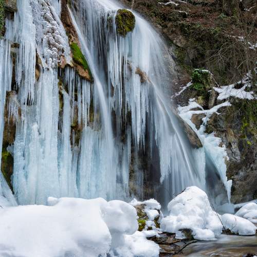 Photo #5933700