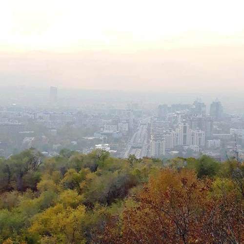 Photo #5933936