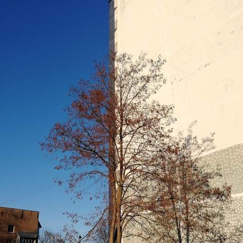 Photo #5933973