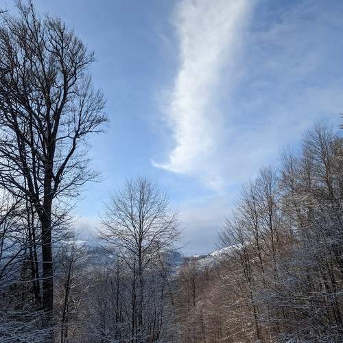 Photo #5933999