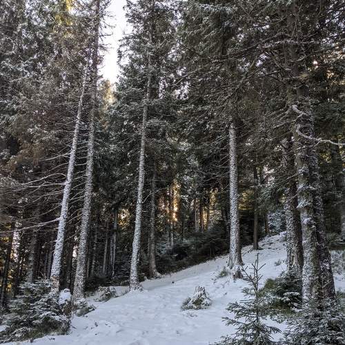Photo #5934000