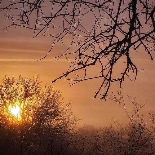 Nature's Heart